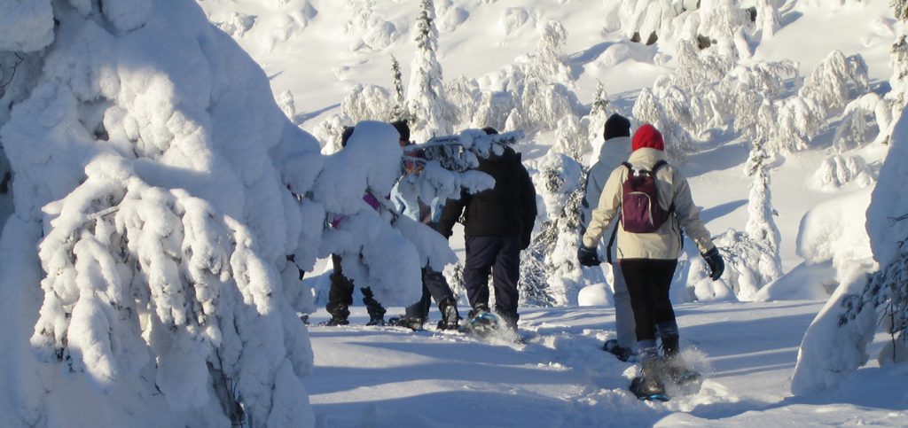 Laponia Finlandia, paseo con raquetas