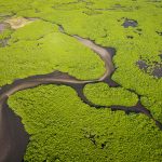 Senegal, Delta del Saloum