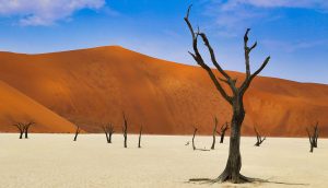 Desierto de Namib